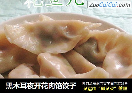黑木耳夜开花肉馅饺子