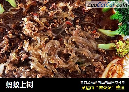蚂蚁上树