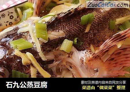 石九公蒸豆腐