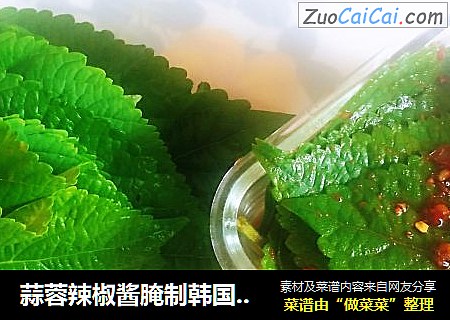 蒜蓉辣椒酱腌制韩国料理—苏子叶