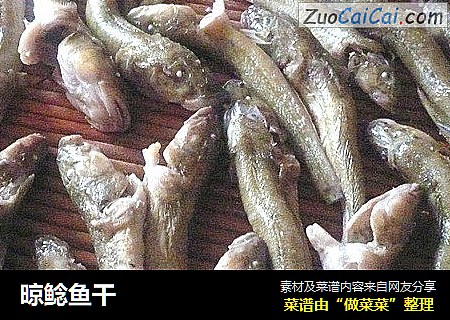 晾鲶鱼干