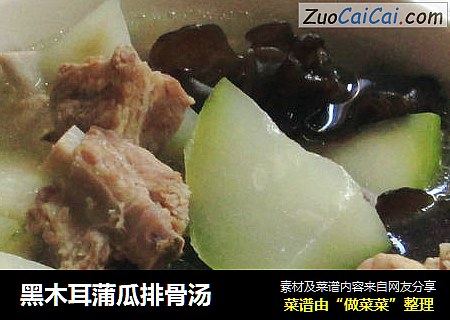 黑木耳蒲瓜排骨汤