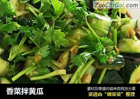 香菜拌黄瓜