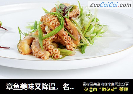 章鱼美味又降温，名厨秘制凉拌汁“拌”你鲜爽一“夏”！