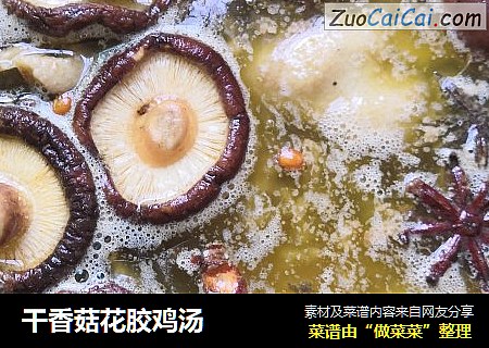 干香菇花胶鸡汤