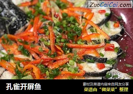 孔雀开屏鱼
