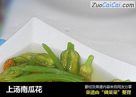 上汤南瓜花