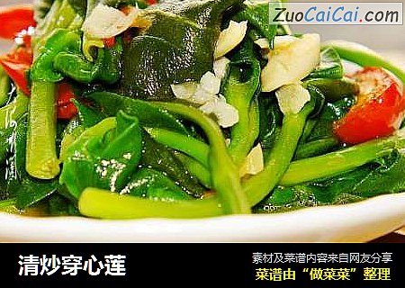 清炒穿心莲