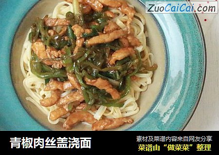 青椒肉丝盖浇面
