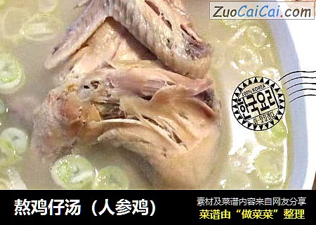 熬鸡仔汤（人参鸡）