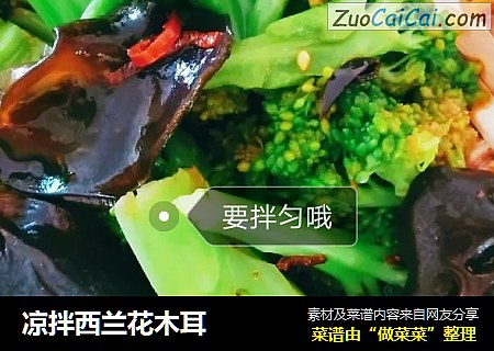 凉拌西兰花木耳