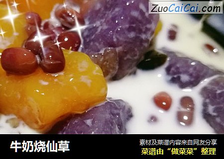 牛奶烧仙草