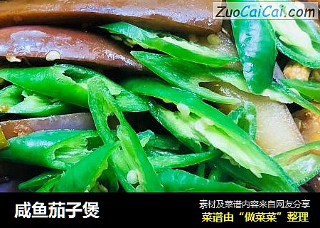 咸鱼茄子煲