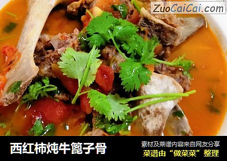 西红柿炖牛篦子骨