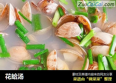 花蛤汤