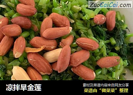凉拌旱金莲