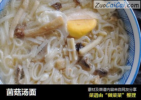 菌菇汤面