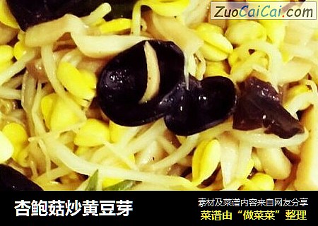 杏鲍菇炒黄豆芽