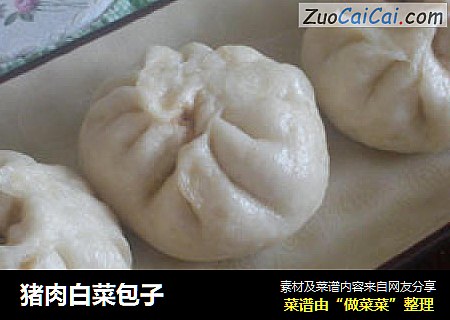 猪肉白菜包子