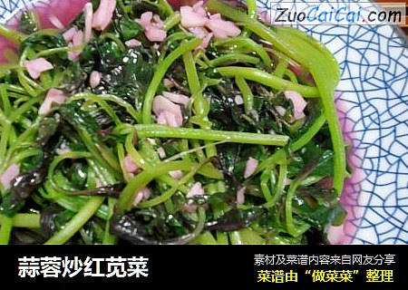 蒜蓉炒红苋菜