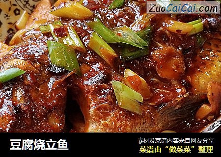 豆腐烧立鱼