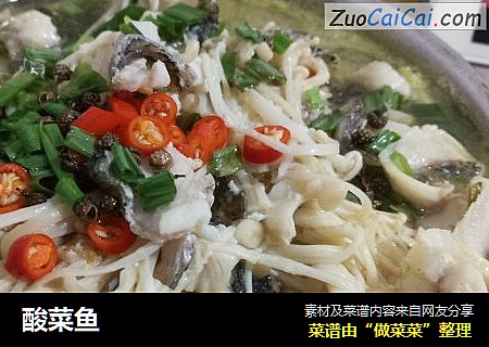 酸菜鱼