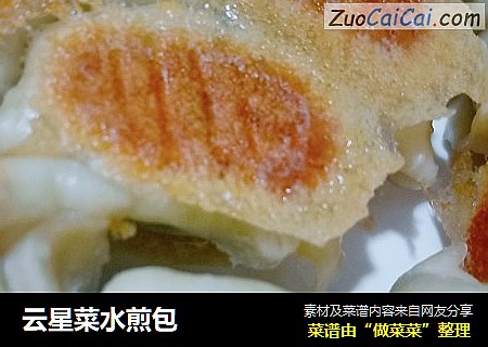 云星菜水煎包