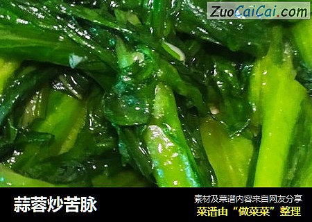 蒜蓉炒苦脉