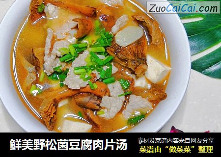 鲜美野松菌豆腐肉片汤