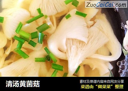 清汤黄菌菇
