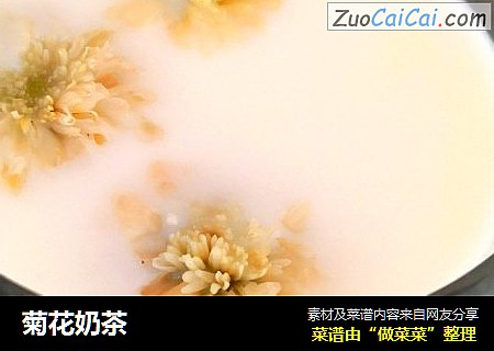菊花奶茶