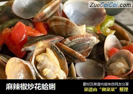 麻辣椒炒花蛤蜊