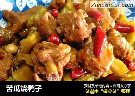 苦瓜烧鸭子