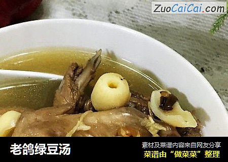 老鸽绿豆汤