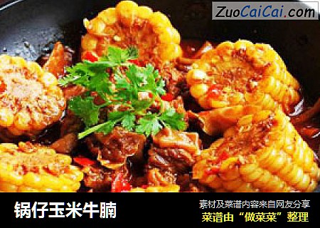 锅仔玉米牛腩