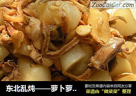 东北乱炖——萝卜萝卜干炖鸡肉