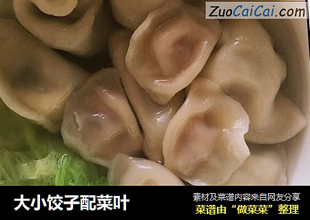 大小饺子配菜叶
