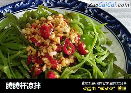 腾腾杆凉拌