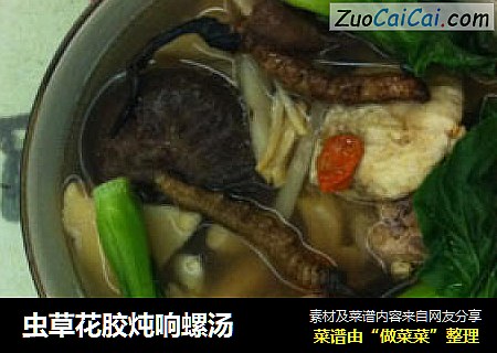 虫草花胶炖响螺汤