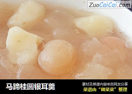 马蹄桂圆银耳羹