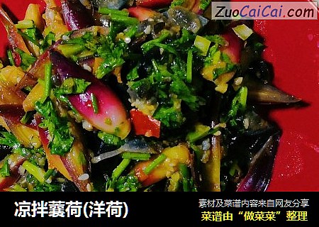 凉拌蘘荷