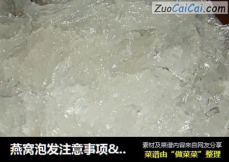 燕窝泡发注意事项&品质判断