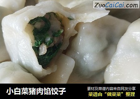 小白菜猪肉馅饺子