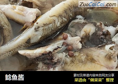 鲶鱼酱