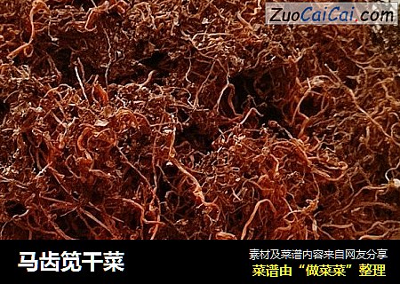 马齿笕干菜