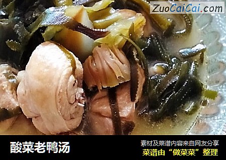 酸菜老鸭汤