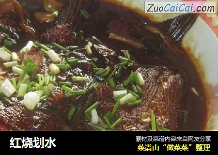 红烧划水