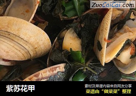 紫苏花甲
