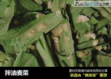 拌油麦菜