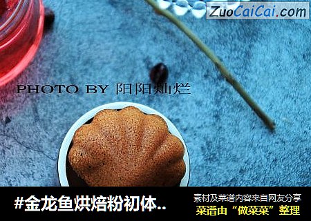 #金龙鱼烘焙粉初体验#黑醋栗玛德琳